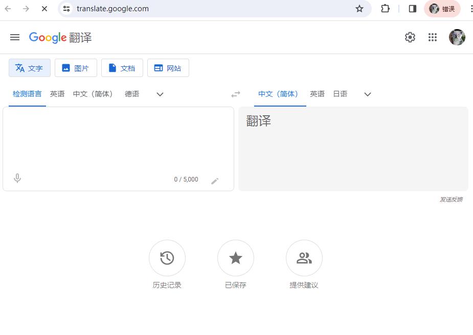 Google 翻译界面