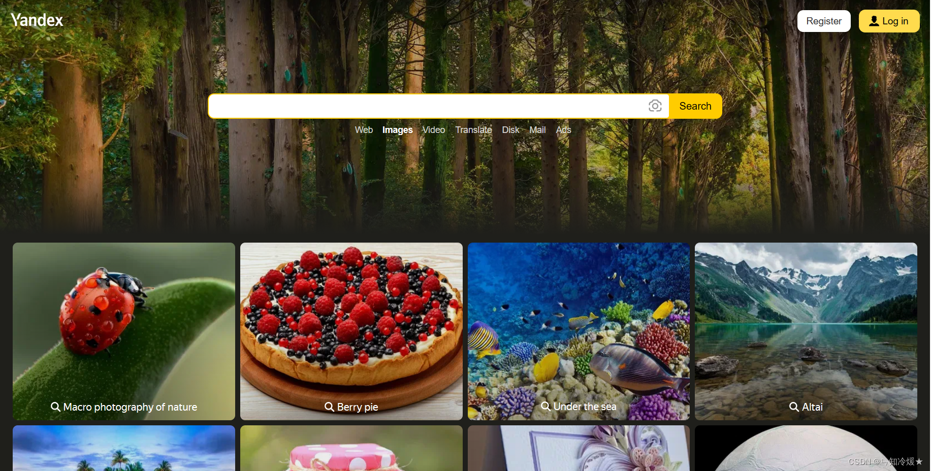 Yandex Images