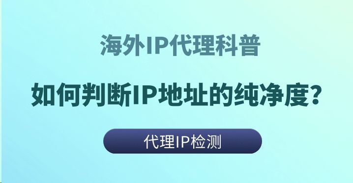 干净的IP代理