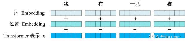 输入表示