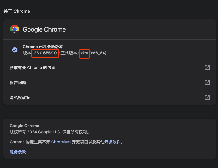 Chrome Dev 版本截图