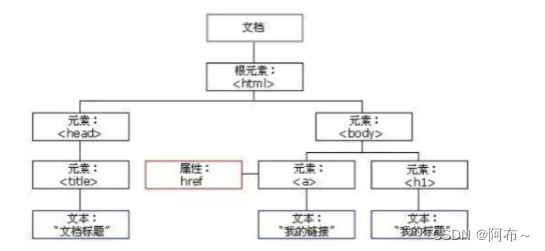 DOM 树结构示例